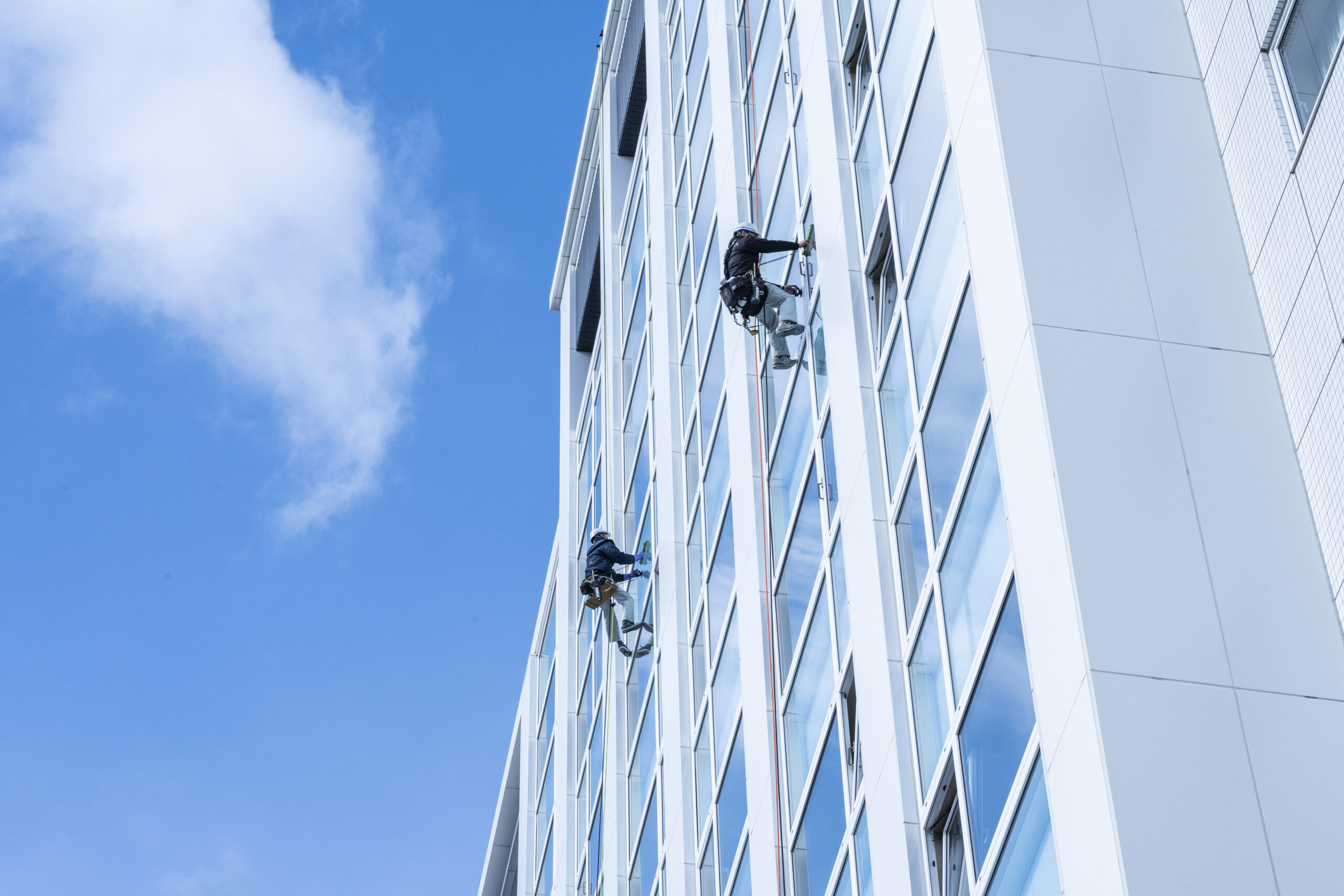 定期・特別清掃